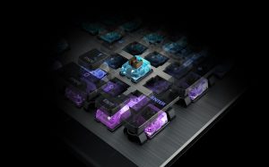 Introducing the ROCCAT Titan Switch – Tactile and Fast!