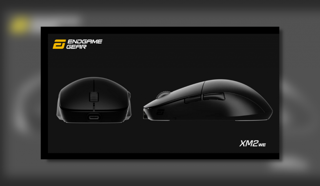 Thumb Cultures featured image for the Endgame Gear XM2we Gaming mouse