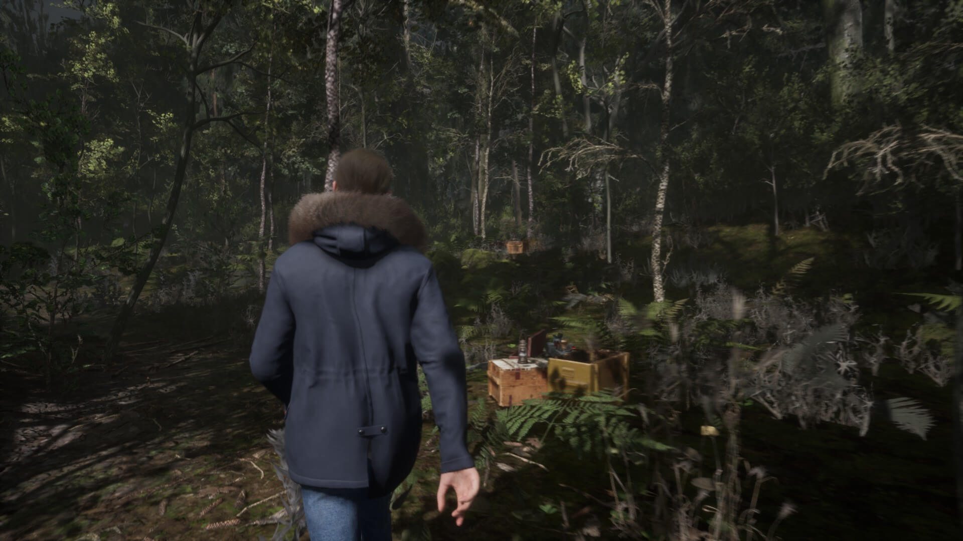 Daniel is walking around a forest. There are two crates of ammo in the shot which the player can use to restock their pistol.