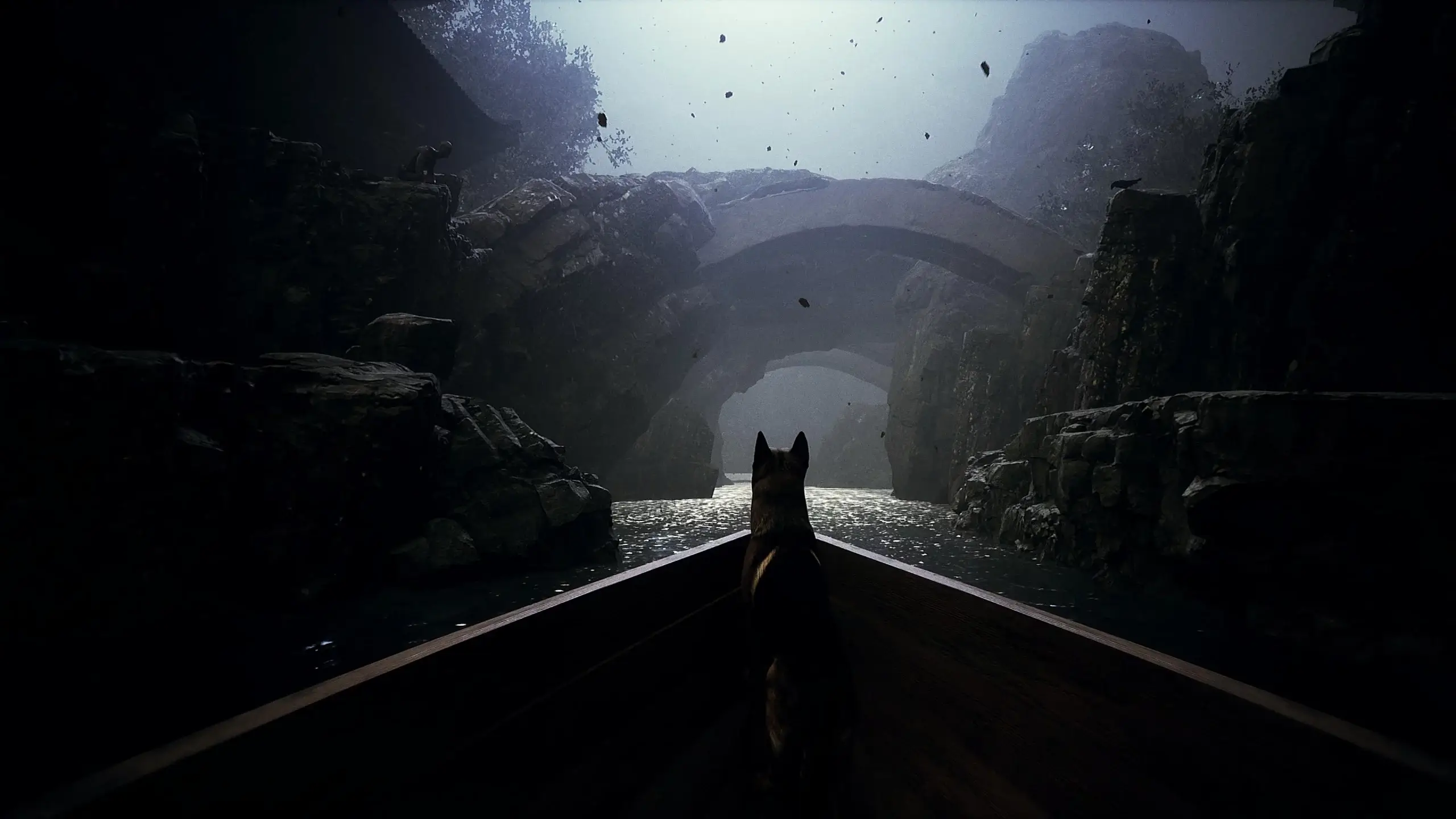The player character and German Shepard are sailing in a row boat down a stream between 2 rocky crevices