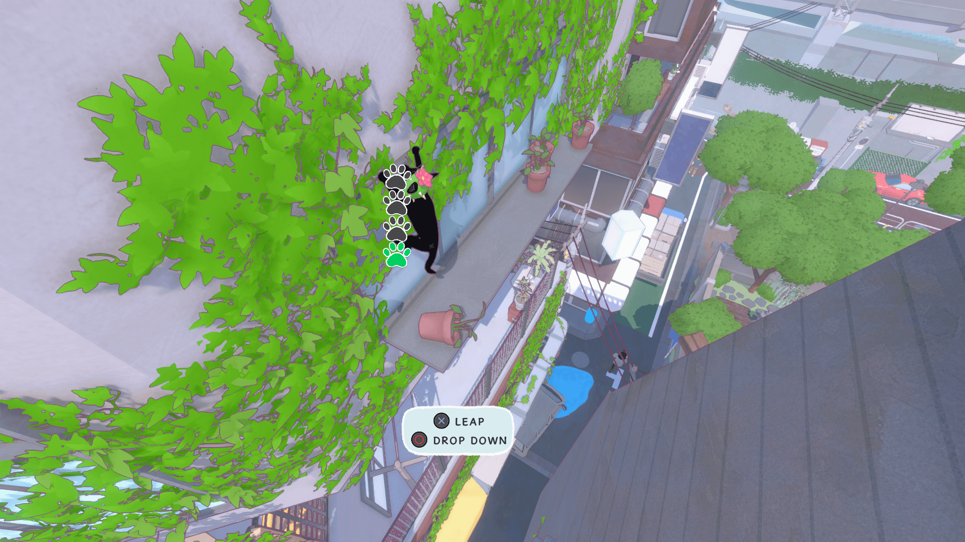 This picture shows the kitty climbing on the green vine up the building. There are two choices directly below the kitty saying "jump" or "drop". 