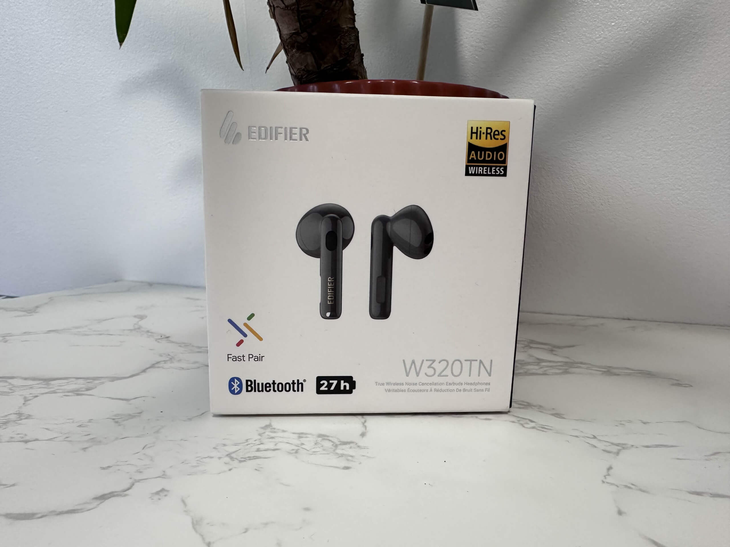 image of the W320TN earbuds box in front of a potted plant