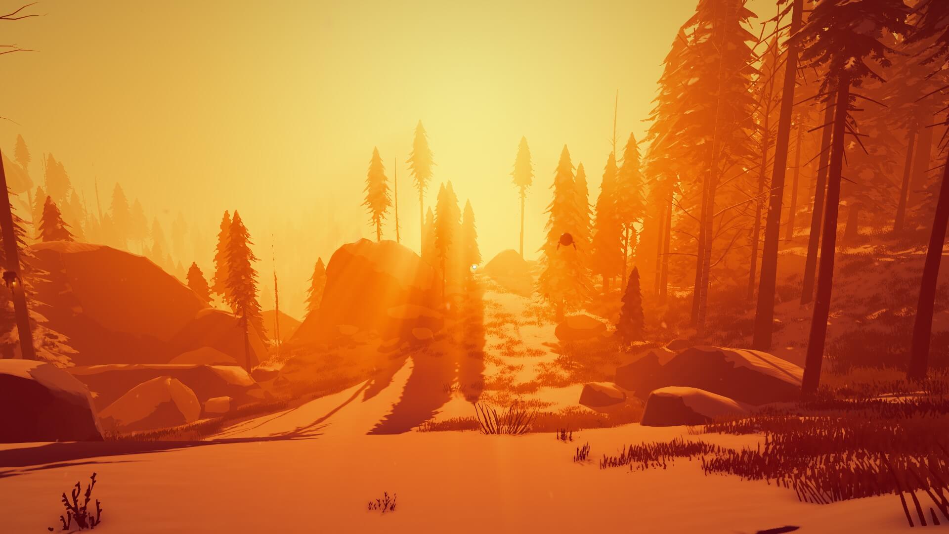 An orange hue glowing past trees.