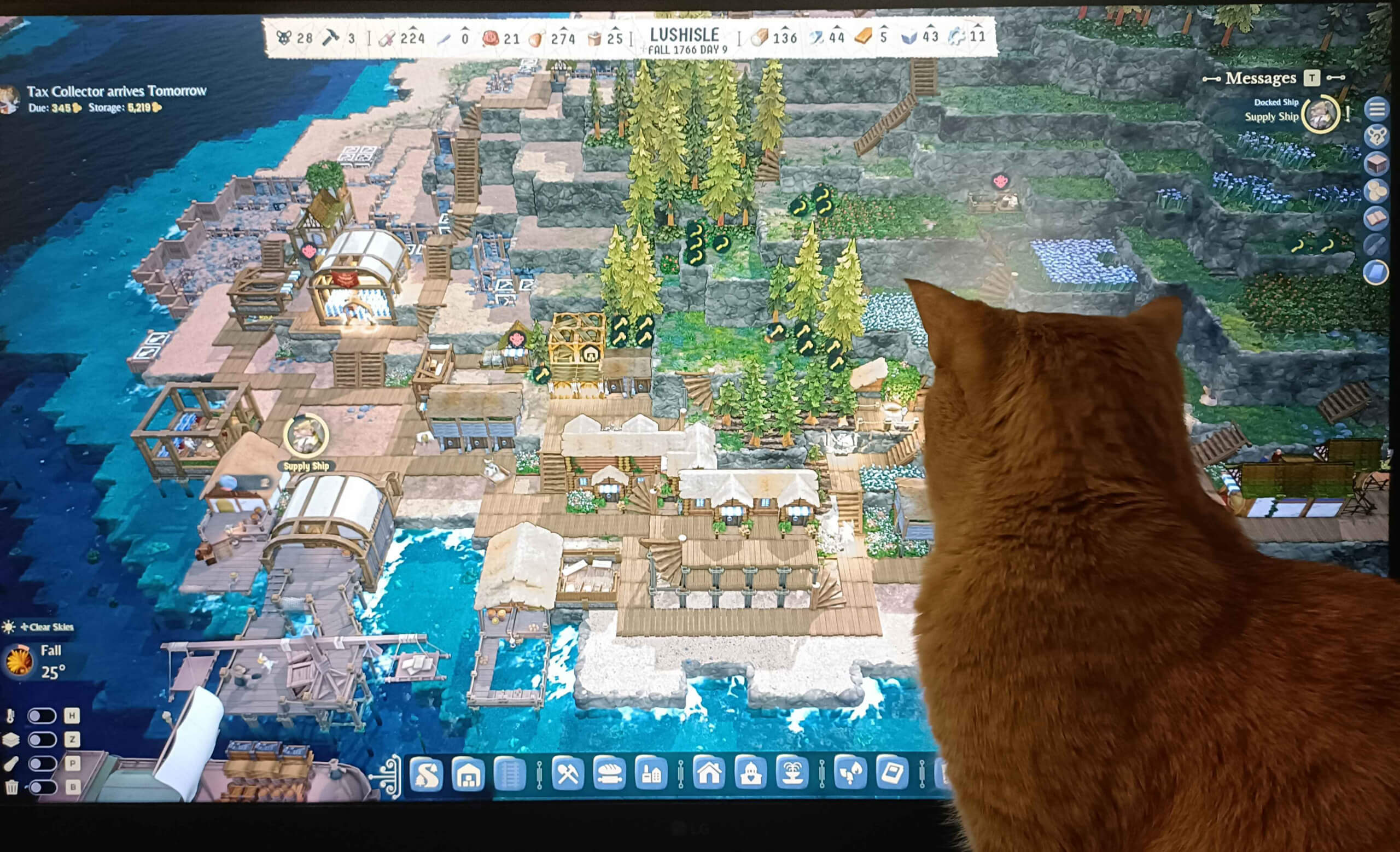 A cat sitting in front of a computer screen watching the game