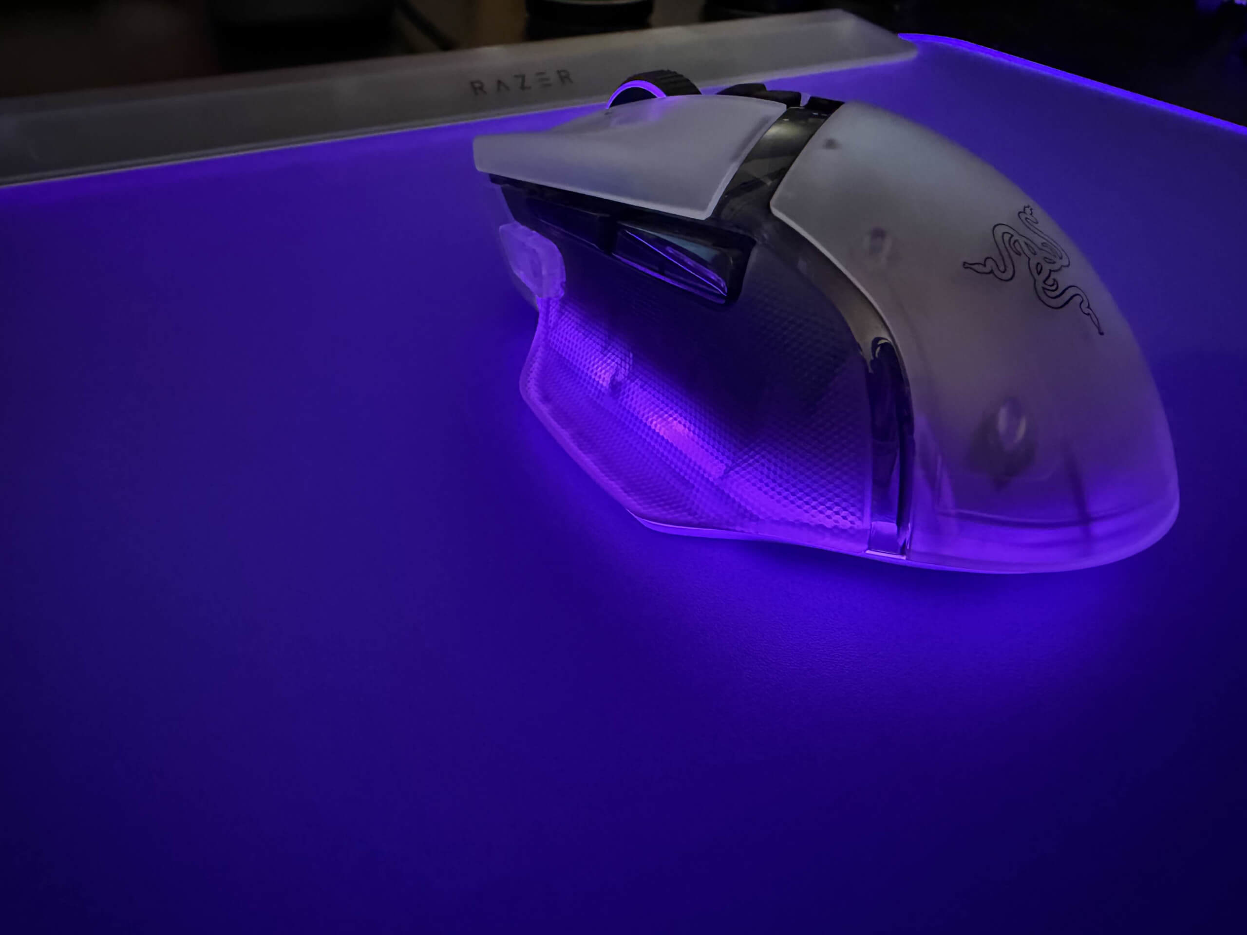 image of the firefly and basilisk in purple