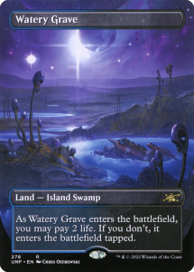 Swamp under the moon