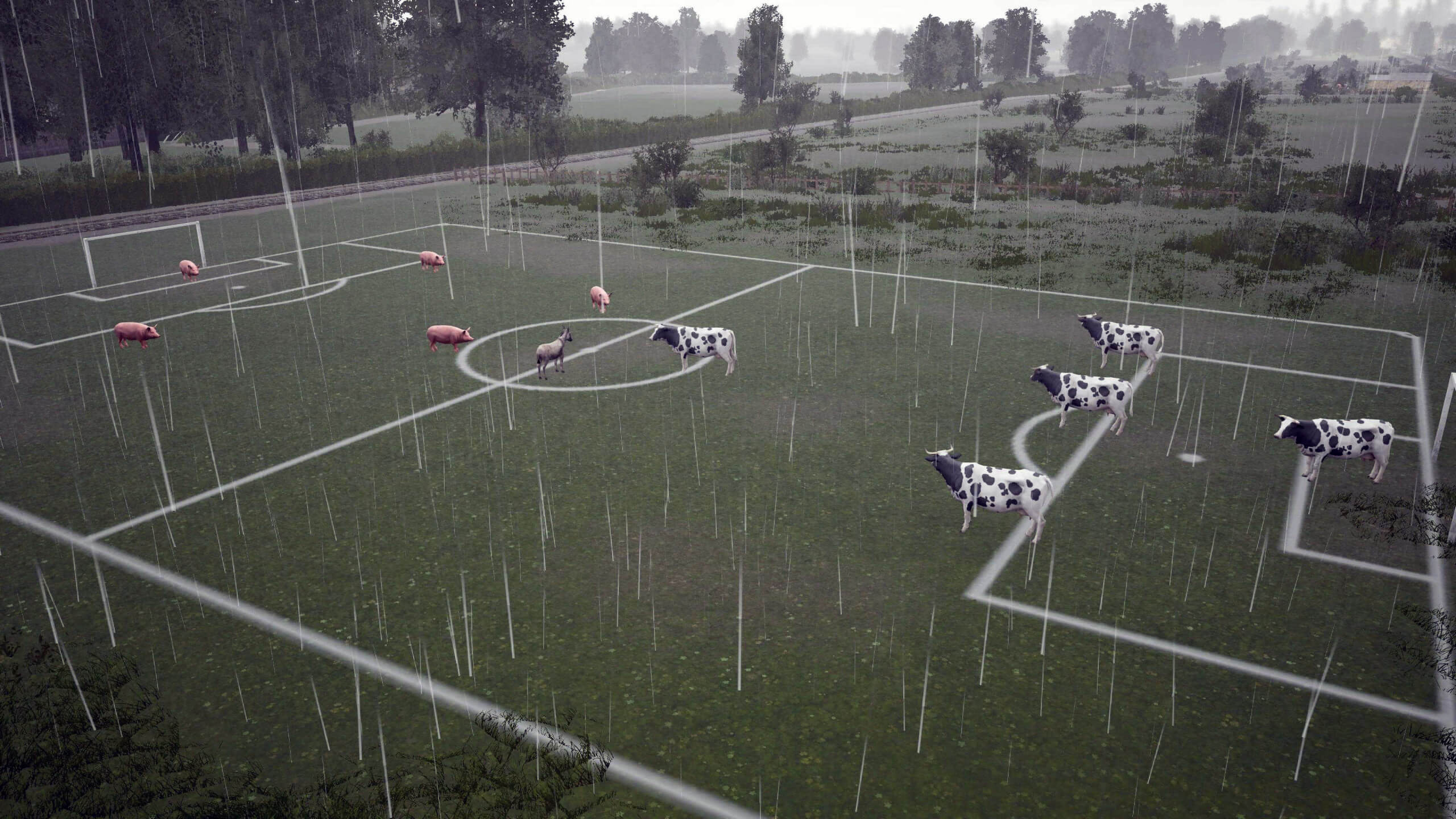 Cows and pigs line up in formations on a grassy football field in heavy rain. The field's lines are visible, and trees line the background, creating a surreal scene.