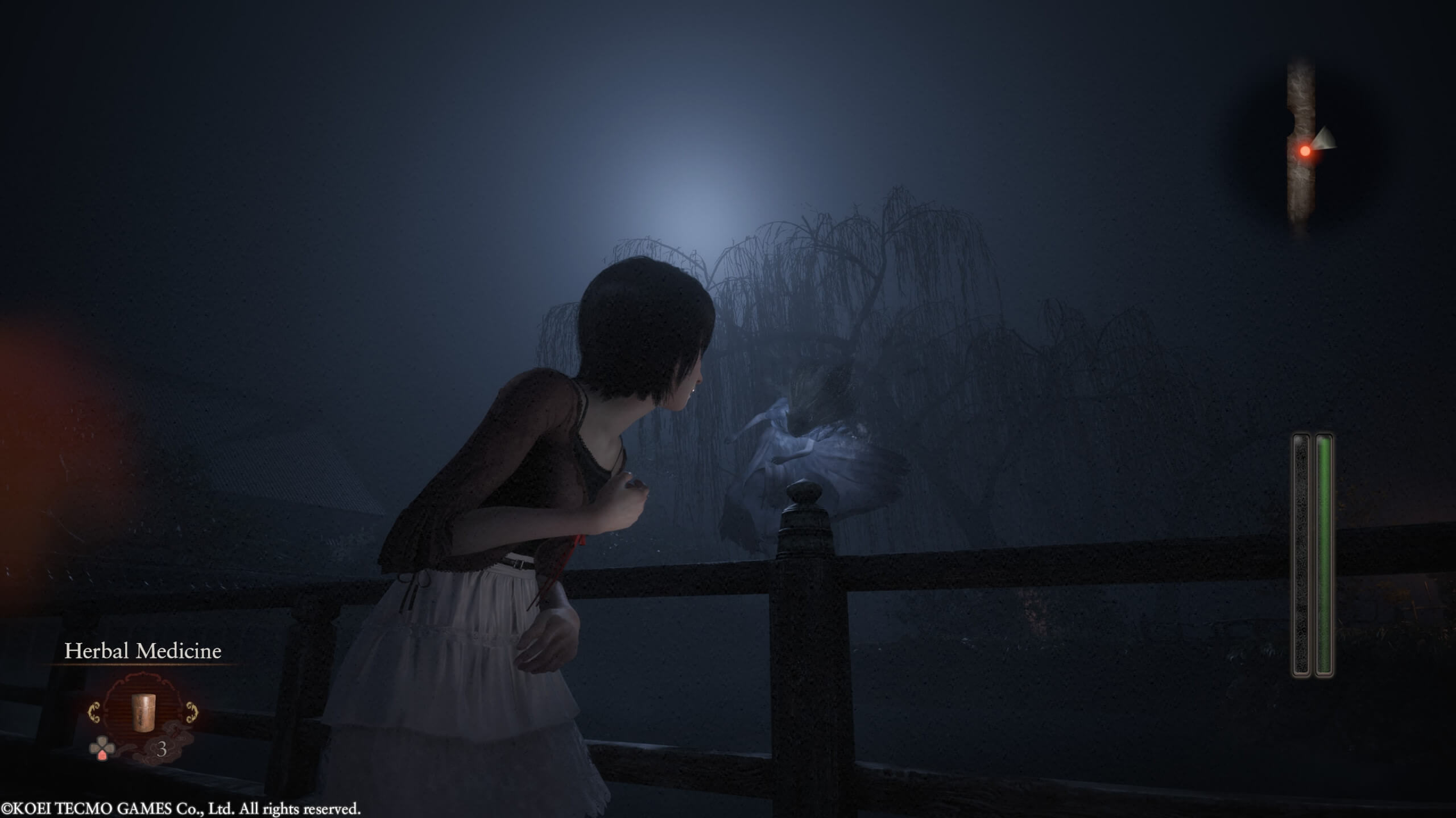 Mio is running across a bridge staring at a floating ghost. That looks to be wearing a large flowing dress. The moon is misty but illuminates through a nearby tree. 