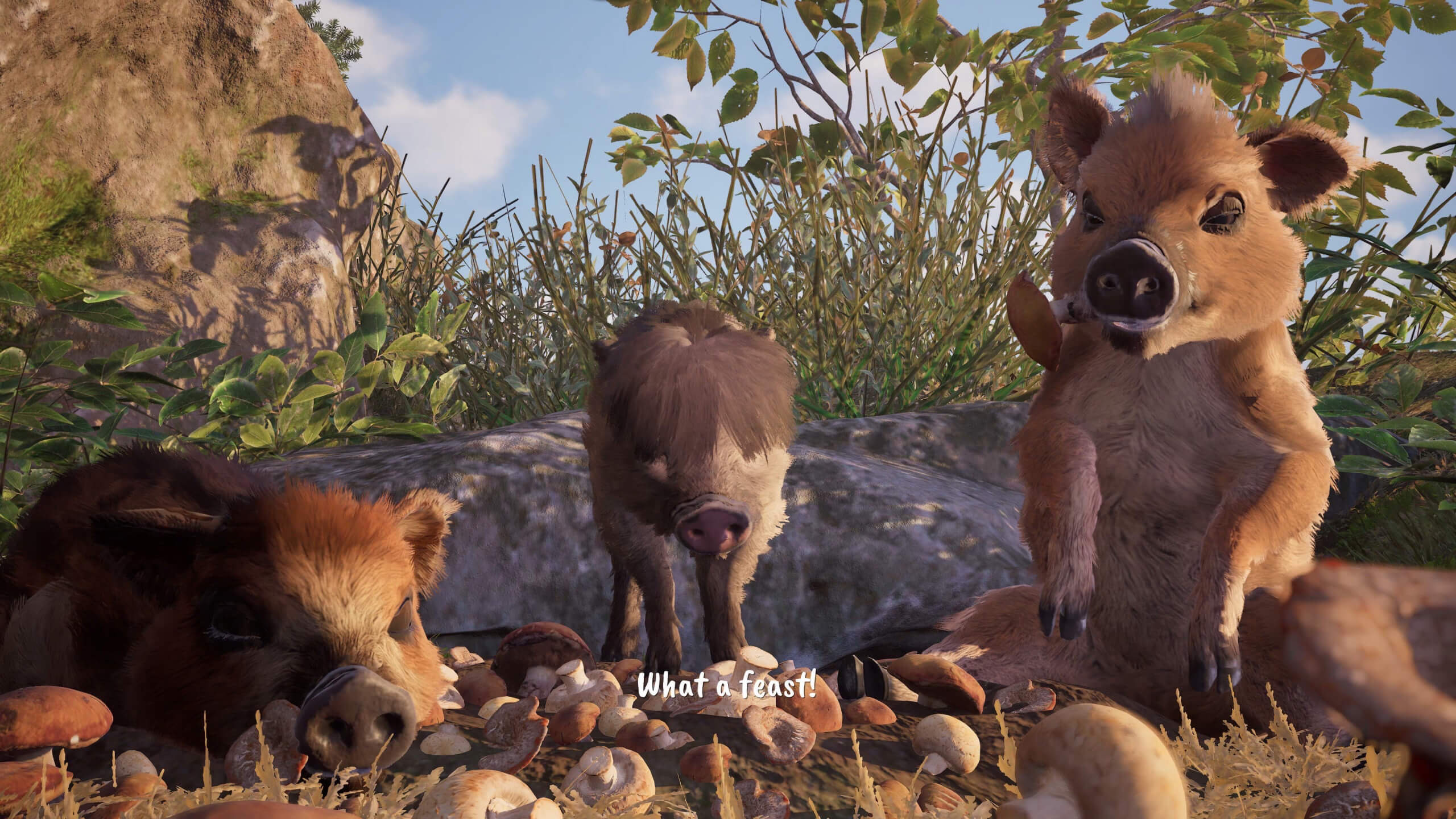 boris and siblings sitting down or laying down eating mushrooms
