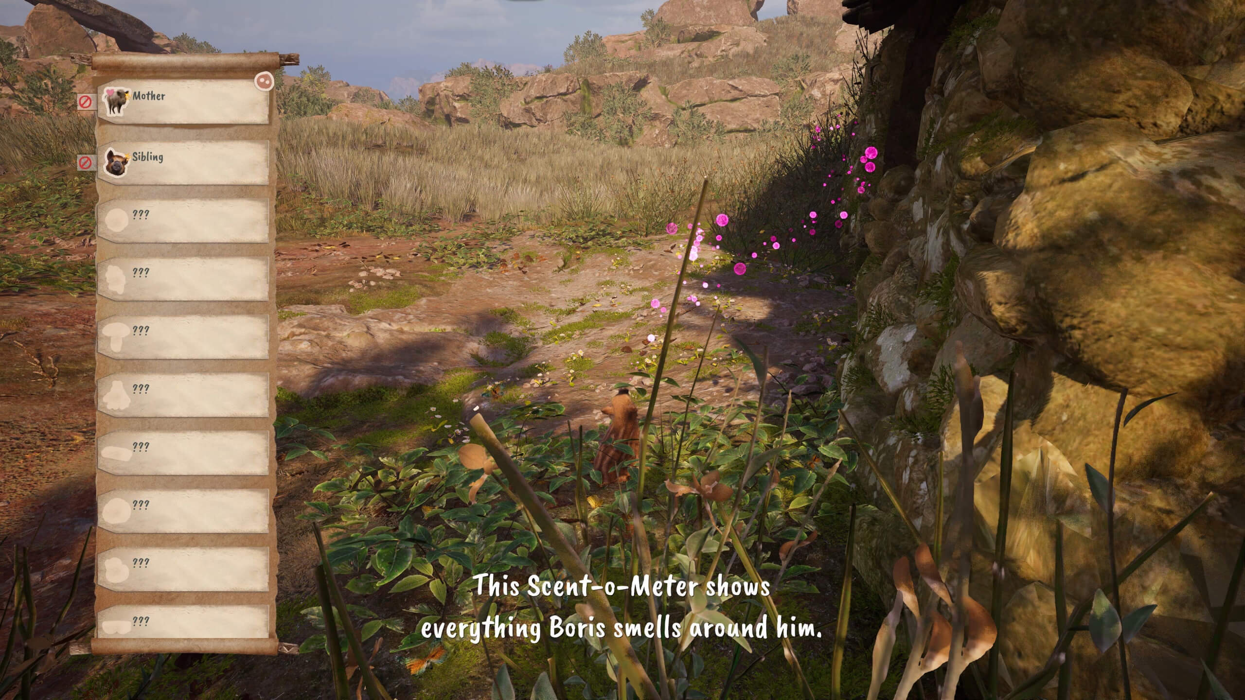 boris is following a scent by some rocks, the scent o meter is on the left and grass and rocks in the background