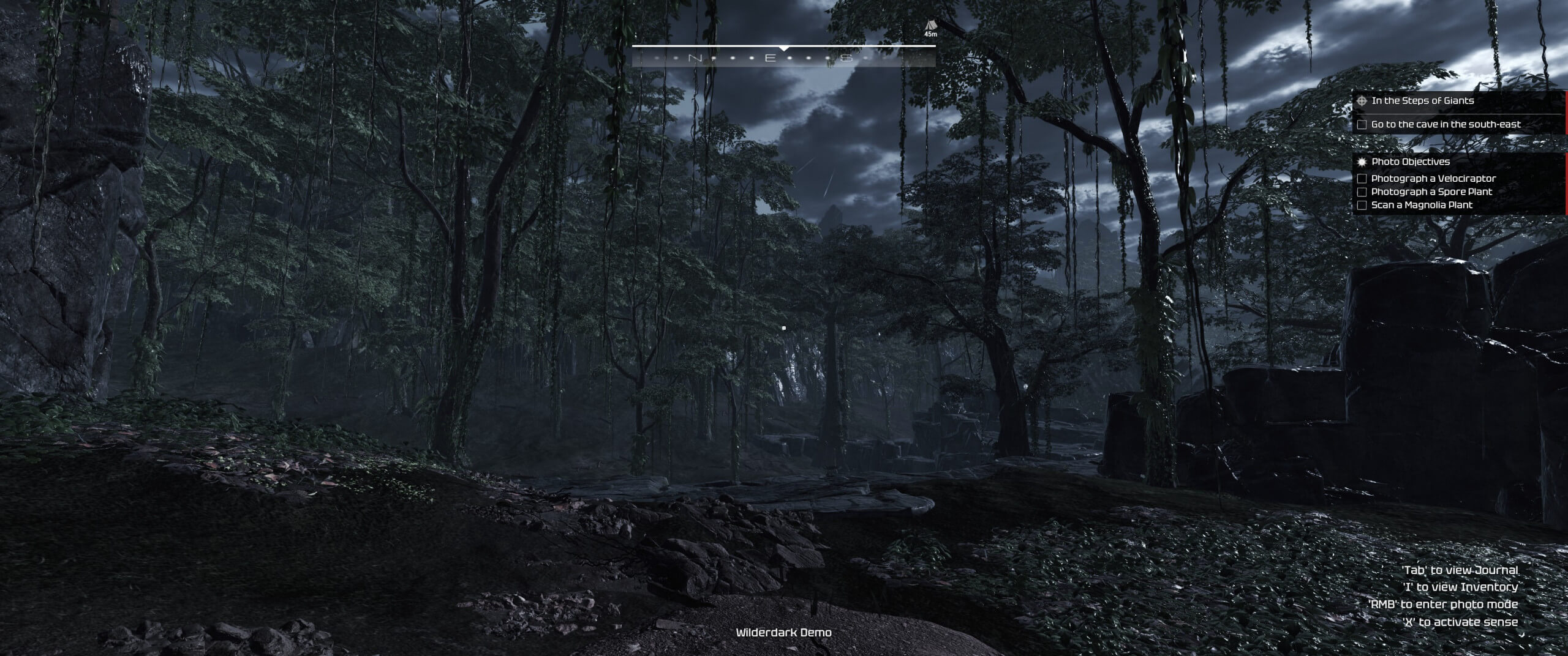 image showing a forest with glossy rain covering the ground