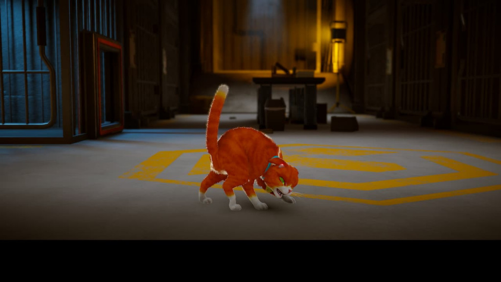 Emoting as Mittens in Schrodinger's Cat Burglar