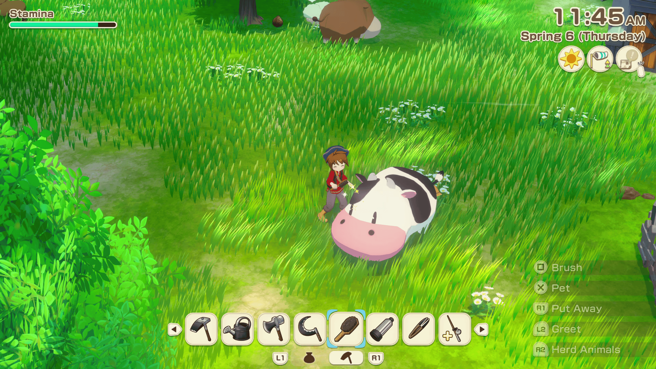 The player is brushing their cow in a lush green field. 