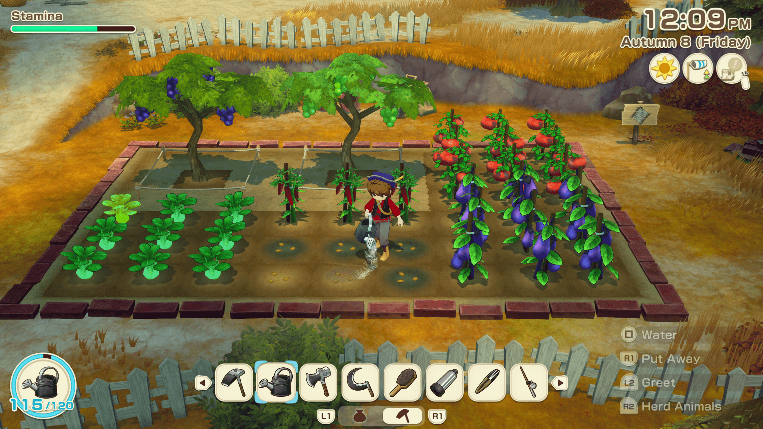 The player character is using a watering can to tend to their crop garden. So far they have grown fruit & vegetables such as tomatoes and chillies, as well as some trees!