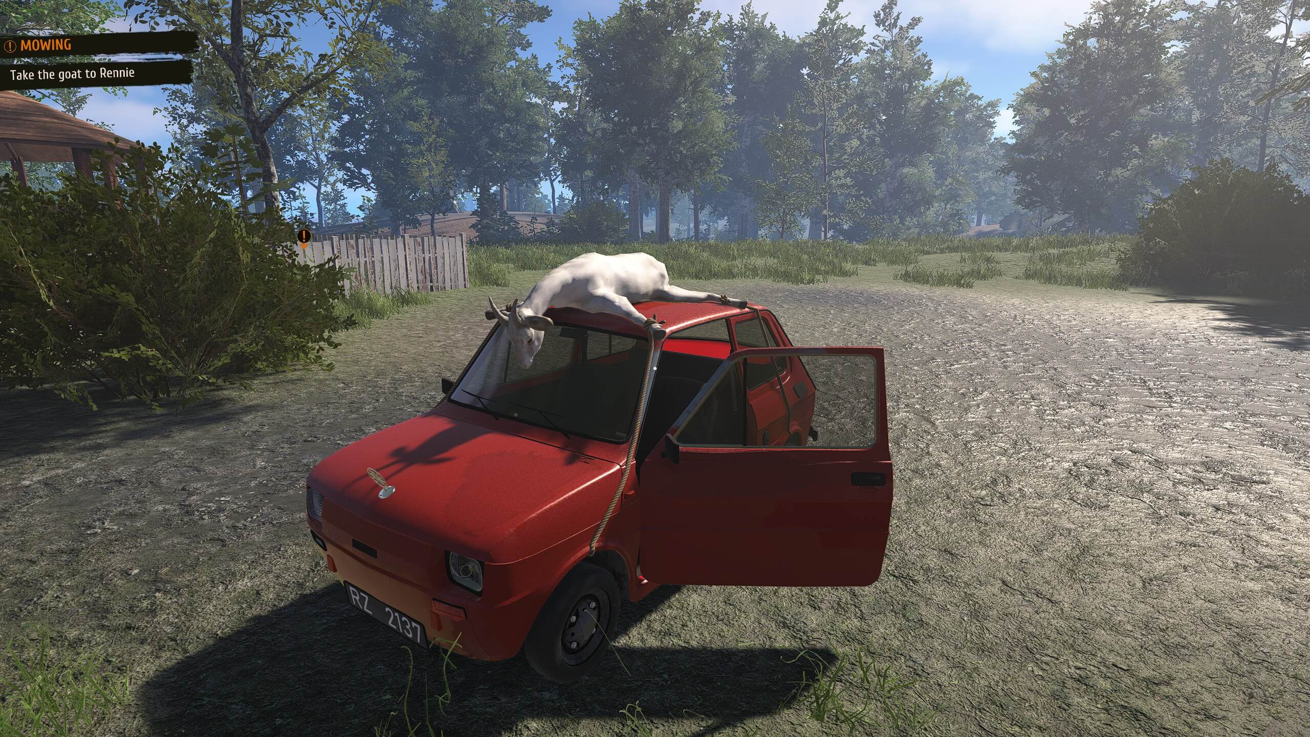 Crveni auto s kozom privezanom na vrhu