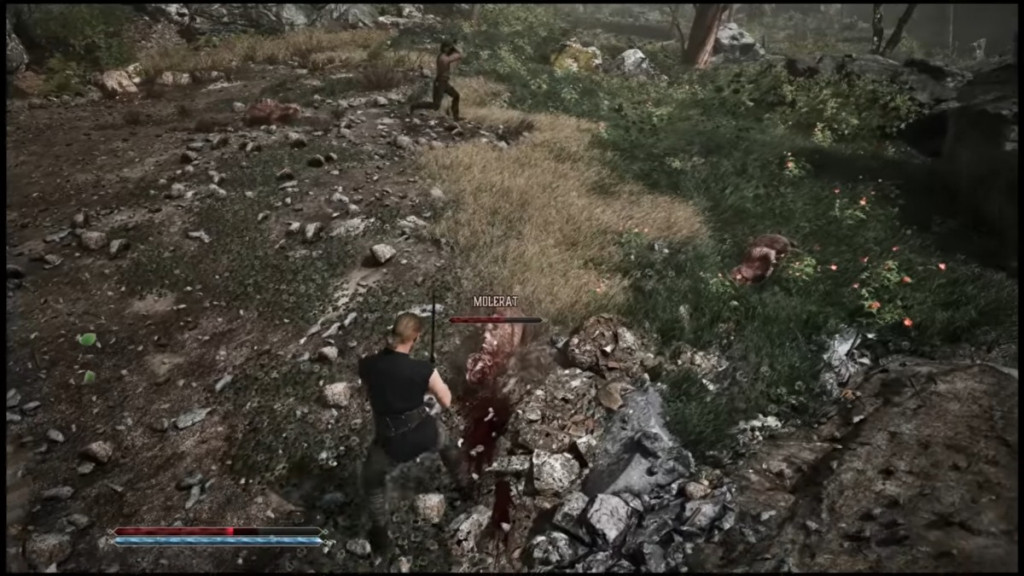 Protagonist fights a molerat