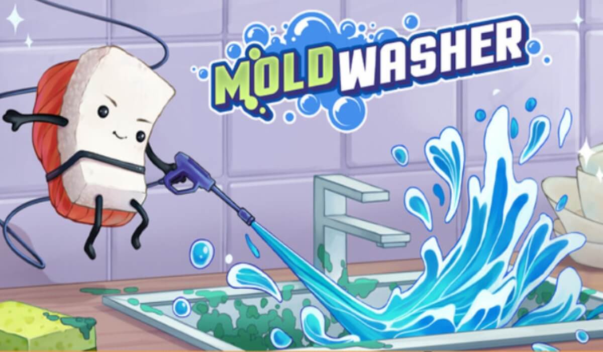 Moldwasher – PC Review