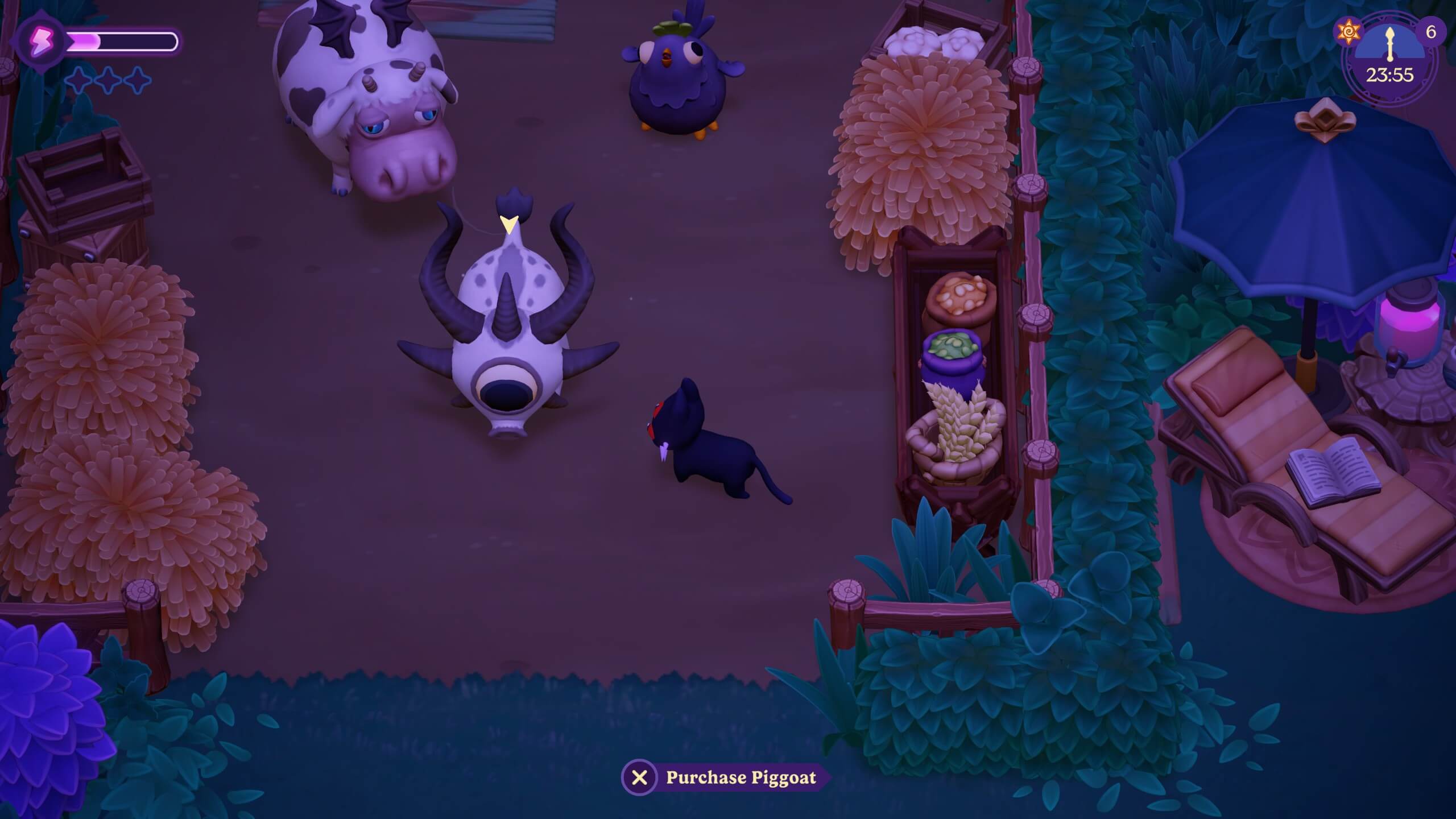A pigoat, it looks...odd