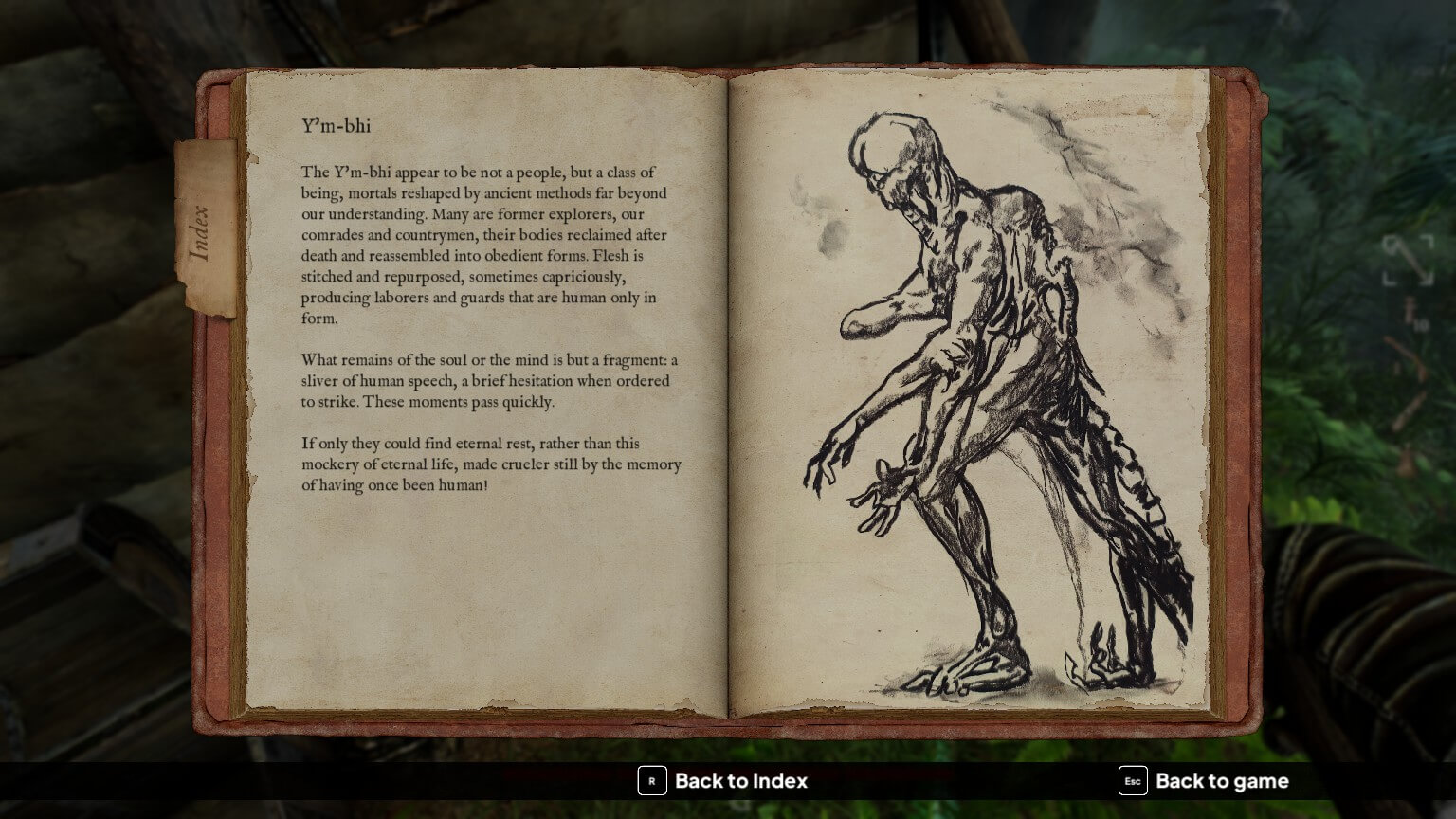 A journal entry of a creature known as the Y'm-bhi. There is a large amount of text explaining an experience with the entity. While the right side shows a well drawn image of the monster.