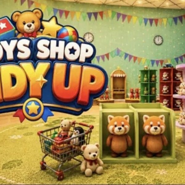 Toy Shop Tidy Up – PC Review
