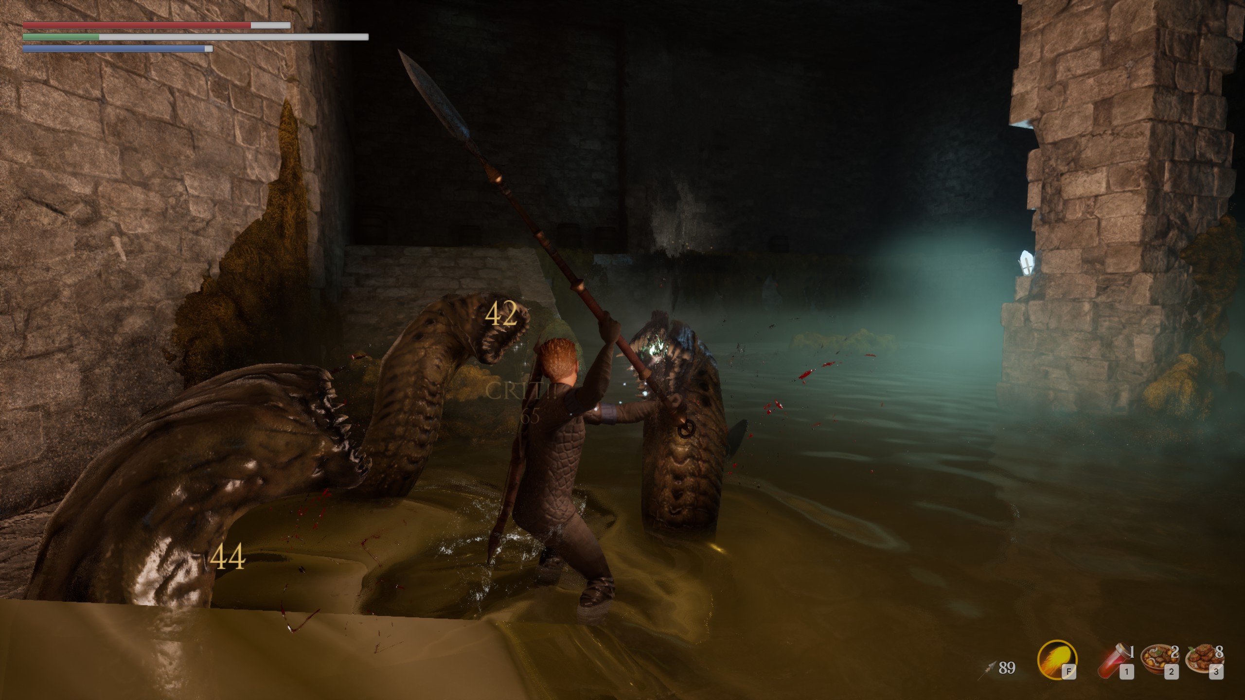 Video game screenshot of a warrior wielding a spear, fighting a giant reptilian creature in a flooded stone dungeon.