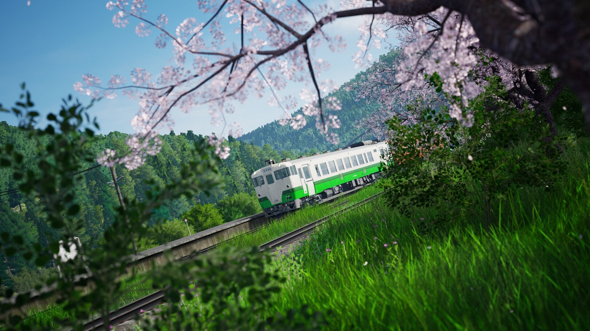 A KiHa 40 diesel train moving along a track underneath a cherry blossom tree.